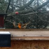 photo 2023-01-30 11-36-36