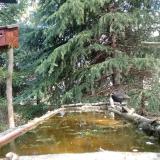 photo 2023-03-28 10-38-21