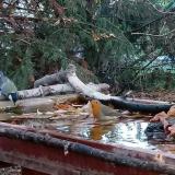 photo 2022-10-20 16-56-21 szencinege vorosbegy