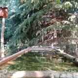 photo 2023-09-29 11-03-13