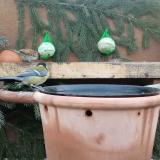 photo 2024-01-25 07-57-07