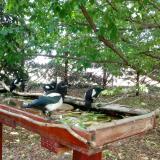 photo 2022-05-23 12-34-00