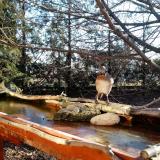 photo 2022-02-24 08-20-44