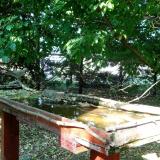 photo 2022-05-12 16-54-17