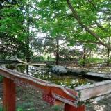 photo 2022-04-30 10-36-56