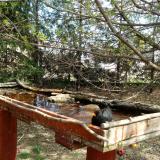 photo 2022-04-06 12-36-43