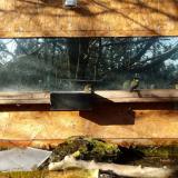 photo 2023-12-04 09-55-35