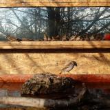 photo 2022-02-04 09-25-49