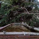 photo 2023-03-18 17-59-26