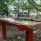 photo 2022-07-18 11-30-09