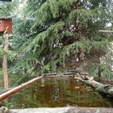 photo 2023-04-03 10-59-15