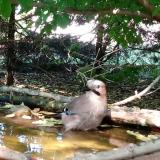 photo 2022-05-12 16-25-53 szajko