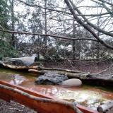 photo 2022-02-17 07-55-57