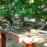 photo 2022-05-10 17-04-39