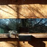 photo 2023-02-05 10-46-08