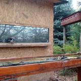 photo 2022-11-03 13-49-16