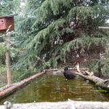 photo 2023-04-10 13-58-58