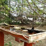 photo 2022-04-08 12-37-45