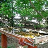 photo 2022-04-29 13-32-19