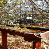 photo 2022-10-23 13-14-05