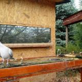 photo 2022-10-27 10-30-54