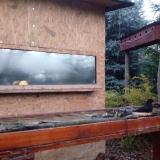 photo 2022-11-13 06-31-45