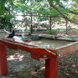 photo 2022-06-26 10-38-42