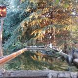 photo 2023-09-28 07-04-37