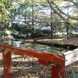 photo 2022-10-17 08-44-08