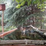 photo 2023-06-27 07-31-17