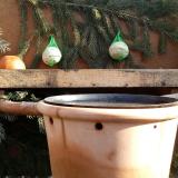 photo 2024-01-25 11-04-07