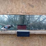 photo 2022-12-14 12-52-06