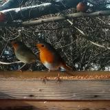 photo 2022-12-13 11-10-35