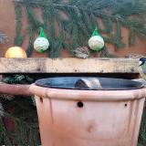 photo 2023-12-28 08-57-26