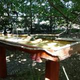 photo 2022-07-21 15-18-46