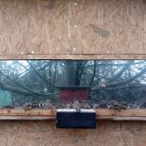 photo 2023-01-19 10-02-06