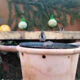 photo 2024-01-11 09-11-58