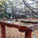 photo 2022-10-23 08-32-51