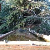 photo 2023-03-18 16-41-38