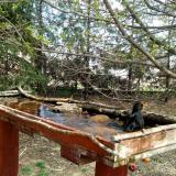 photo 2022-04-06 12-40-21