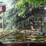 photo 2023-05-18 13-04-20