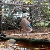 photo 2022-10-24 09-41-36