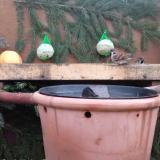 photo 2023-12-30 07-25-14