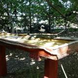 photo 2022-07-21 15-17-29