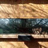 photo 2023-03-02 10-02-47