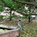 photo 2022-05-17 12-22-20