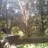 photo 2024-09-30 15-11-54