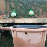 photo 2024-01-25 07-56-05