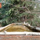 photo 2023-03-20 09-04-30