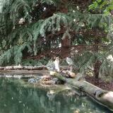 photo 2023-08-05 13-41-46